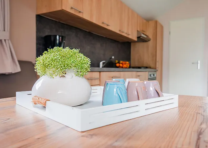 Covered Terrace At Leukermeer شاليه ليمبورخ