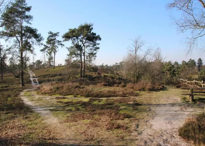 Covered Terrace At Leukermeer شاليه ليمبورخ