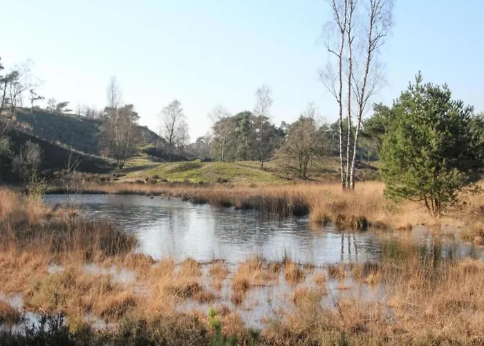 Covered Terrace At Leukermeer * ليمبورخ