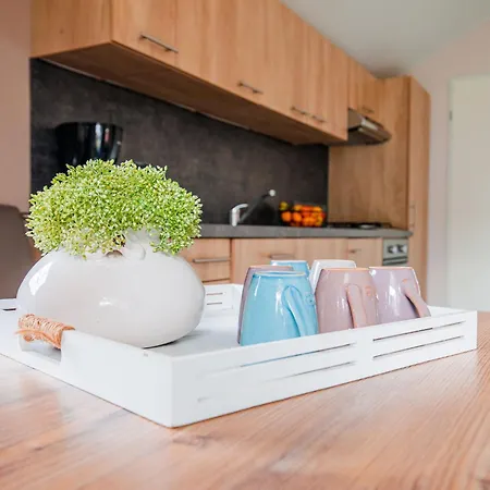 Covered Terrace At Leukermeer Alpesi faház Well