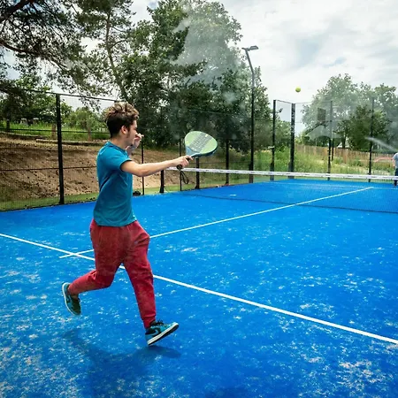 Covered Terrace At Leukermeer Alpesi faház